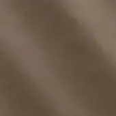 2437219 - MUD